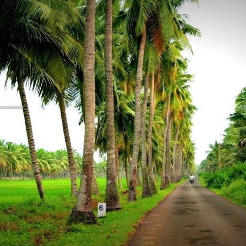 Hyderabad to Amalapuram cabs